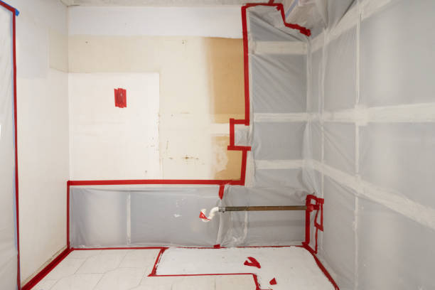 Best Airborne Mold Testing  in Keaau, HI
