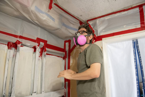 Best Crawl Space Mold Remediation  in Keaau, HI
