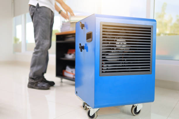 Best Mold Prevention Services  in Keaau, HI