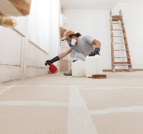 Trusted Keaau, HI Mold Removal Experts